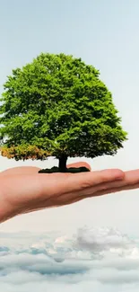 A hand holding a green tree, floating above clouds under a clear sky.