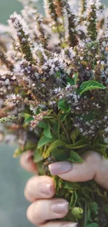 A hand holding a beautiful bunch of wildflowers against a blurred natural background.