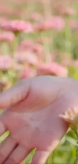 Hand gently touching flowers in a sunlit pink field scene.