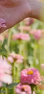 Hand picking pink flowers amid lush greenery.