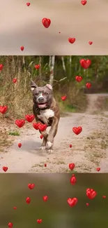 Joyful dog running with floating red hearts in a forest setting wallpaper.