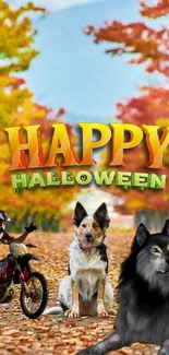 Happy Halloween wallpaper with dogs and a biker amidst colorful autumn leaves.