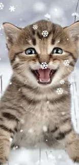 Adorable kitten playing in a snowy field, bringing warmth to a winter scene.