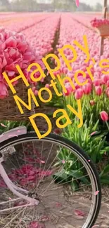 Bicycle with pink tulips for Mother's Day.