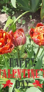 Vibrant Valentine's Day flowers with green leaves background.