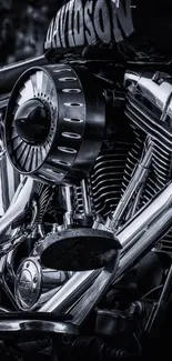 Close-up of Harley Davidson motorcycle engine in silver tones.