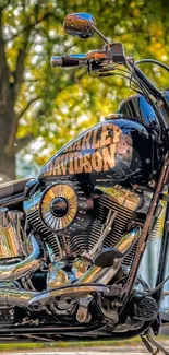 Harley Davidson motorcycle in autumn scenery.