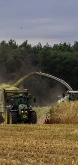 Tractors harvesting a cornfield in evening light.