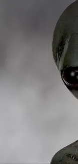 Alien with large eyes on gray background wallpaper.