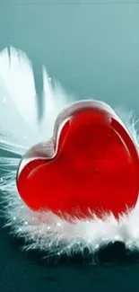 Red heart on a feather with teal background mobile wallpaper.