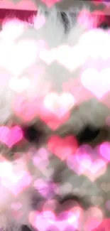 Dreamy wallpaper with pink heart bokeh and fluffy white dog.