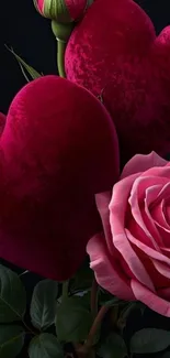 Velvet heart and pink rose on black background mobile wallpaper.