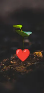 Sprout with heart-shaped root on dark background wallpaper.