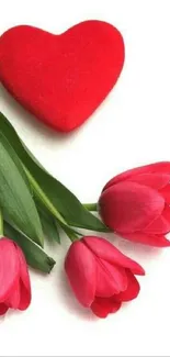 Red heart and pink tulips on a white background.