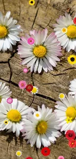 Heart-shaped daisy arrangement on rustic wood.