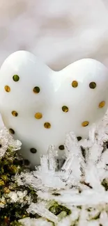 Porcelain heart among frosty ice crystals in nature.