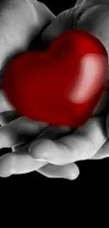 Red heart held in grayscale hands on mobile wallpaper.