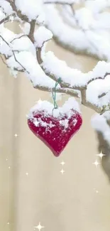 Red heart ornament on a snowy branch.