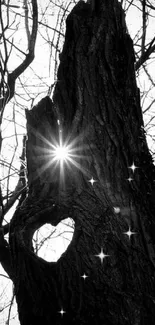 Heart-shaped silhouette in tree with sunburst in black and white.