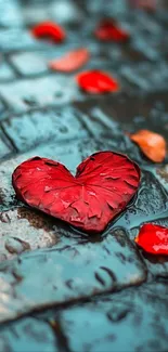 Heart-shaped red leaf on wet stones.