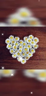 Heart-shaped white daisies on wooden texture with sparkles.