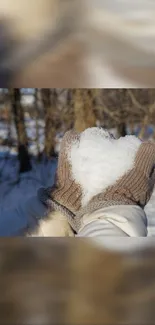 Warm gloved hands cradle snow with heart shape in winter forest.