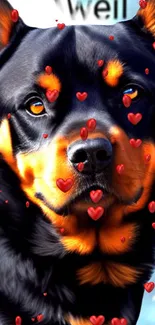 Rottweiler with floating red hearts on a mobile wallpaper.