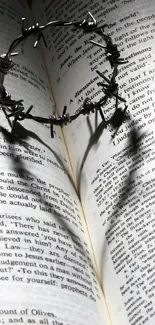 Heart shadow on open book with wire crown creating a symbolic impression.