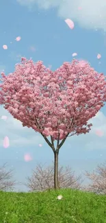 Heart-shaped cherry blossom tree with pink petals.