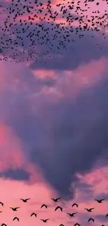 Heart-shaped cloud with flying birds in a purple sky.