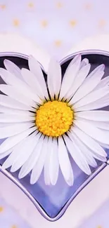 Heart-shaped daisy with white petals and yellow center on lavender background.