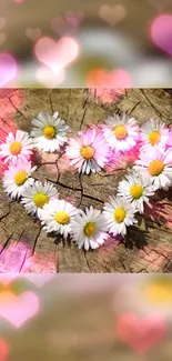 Heart-shaped daisy arrangement on wood with pink glowing hearts background.