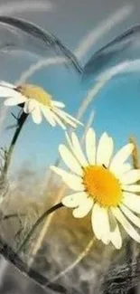 Heart-shaped frame with daisies and sky backdrop.