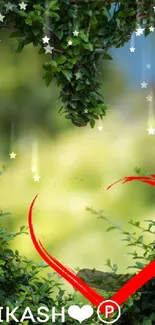 Heart-shaped green foliage with red highlight.