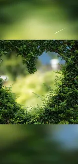 Heart-shaped green foliage surrounded by vibrant greenery.