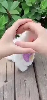 Heart-shaped hand gesture with green leaves background.