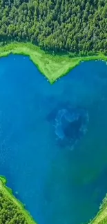 A heart-shaped lake surrounded by lush green forest.