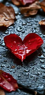 Heart-shaped red leaf on wet stone with autumn leaves.