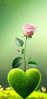 Pink rose with a heart-shaped green leaf.