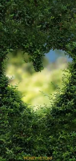 Heart-shaped garden view through green foliage wallpaper.