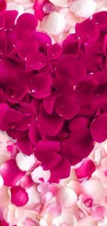 Heart-shaped red petals on a soft pink background.