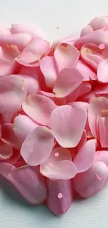 Heart-shaped pink rose petals on white background.