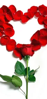 Heart made of red rose petals with a full rose below on white background.