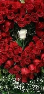 Heart-shaped bouquet of red roses with green leaves and a single white rose.