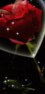 Heart-shaped rose glowing on a dark background with elegant details.