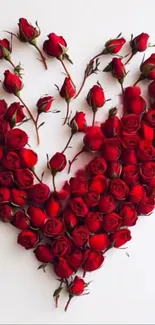 Heart-shaped red roses arranged on white background.