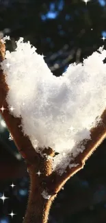 Heart-shaped snow on tree branch against a winter backdrop.