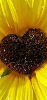 Yellow sunflower with a heart-shaped center.