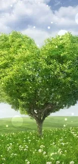 Heart-shaped tree in a green landscape with blue sky background.