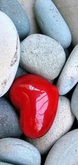 Red heart-shaped stone amidst smooth gray stones.